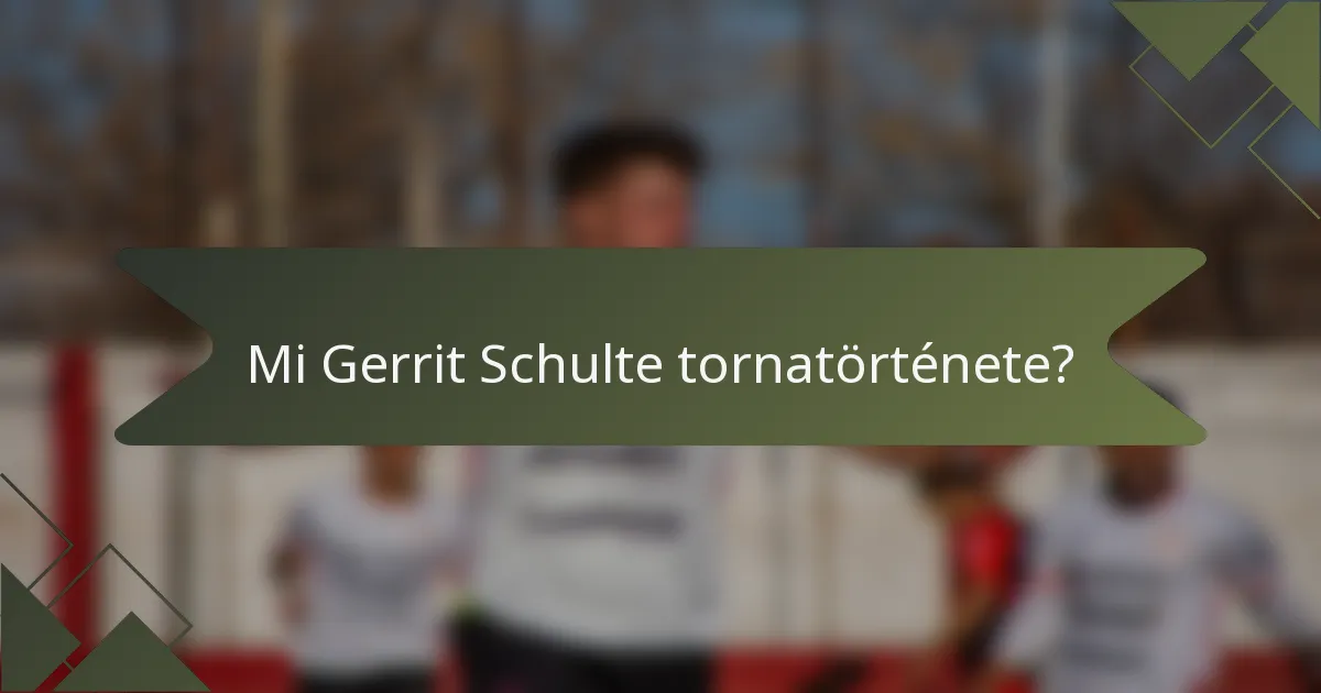 Mi Gerrit Schulte tornatörténete?