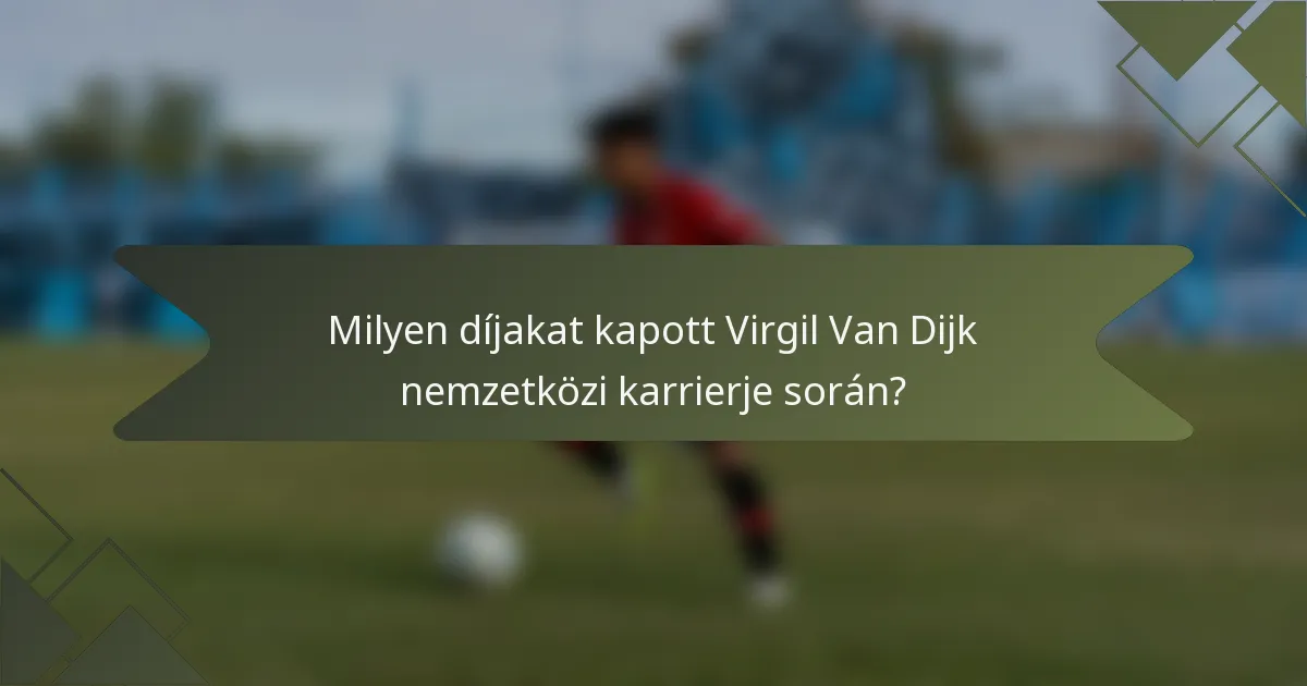 Milyen díjakat kapott Virgil Van Dijk nemzetközi karrierje során?